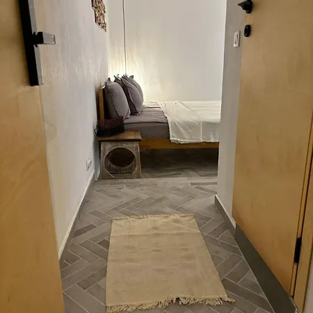 招待所 Casa Mint 索佐波尔
